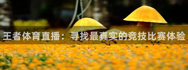 nba王者体育直播吧：王者体育直播：寻找最真实的竞技比赛体验