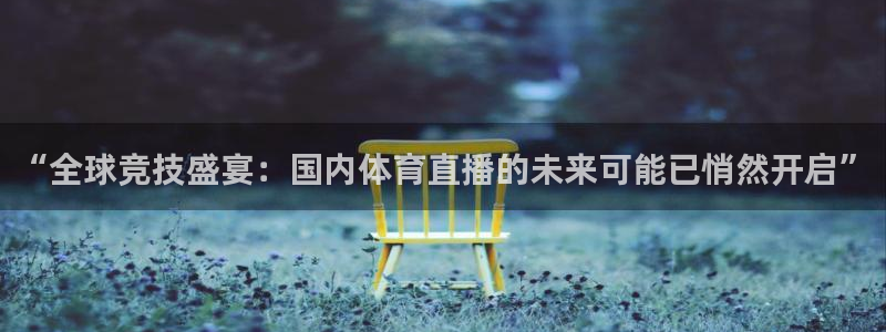 88看球nba直播吧：“全球竞技盛宴：国内体育直播的未来可能已悄然开启”