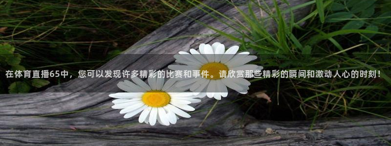 今天有篮球直播吧：在体育直播65中，您可以发现许多精彩的比赛和事件。请欣赏那些精彩的瞬间和激动人心的时刻！