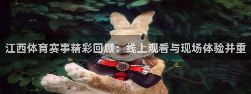 nba直播吧直播：江西体育赛事精彩回顾：线上观看与现场体验并重