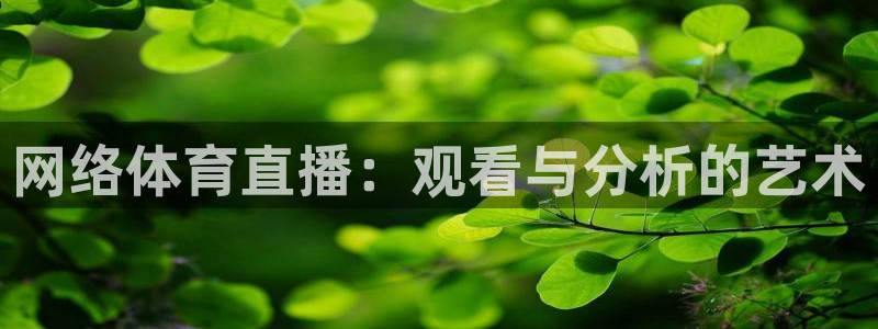 体育直播吧在线直播免费观看：网络体育直播：观看与分析的艺术