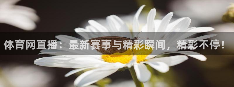 直播吧 篮球：体育网直播：最新赛事与精彩瞬间，精彩不停！