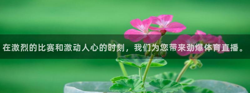 nba乐球直播吧：在激烈的比赛和激动人心的时刻，我们为您带来劲爆体育直播。
