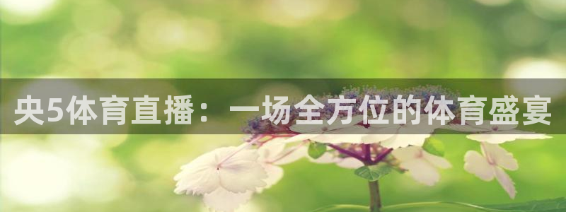 极速体育直播吧免费观看：央5体育直播：一场全方位的体育盛宴