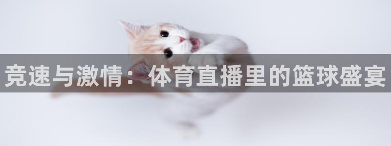 nba直播吧官网：竞速与激情：体育直播里的篮球盛宴