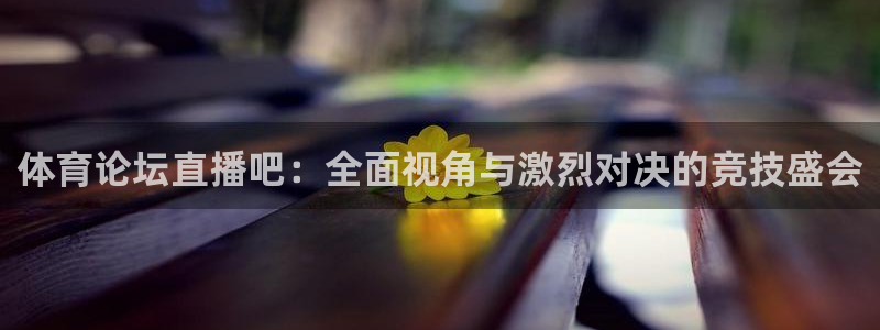 24看球直播吧：体育论坛直播吧：全面视角与激烈对决的竞技盛会