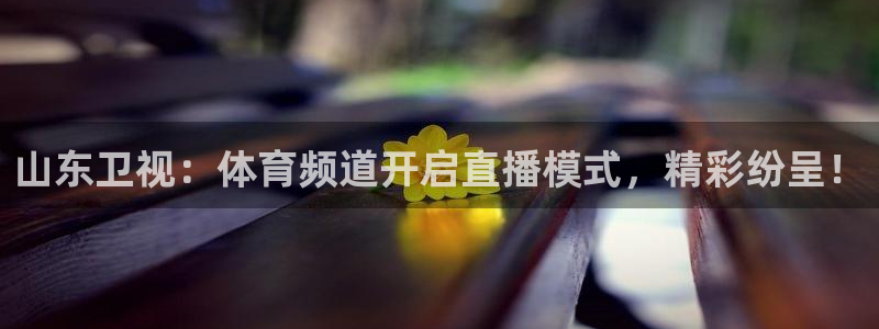 足球直播吧360直播雨燕直播：山东卫视：体育频道开启直播模式，精彩纷呈！