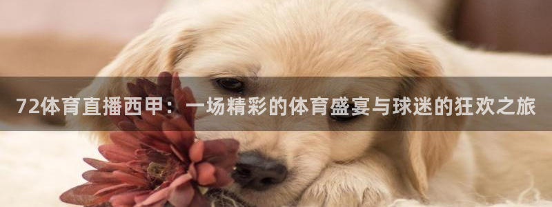 【jrs直播吧】nba直播：72体育直播西甲：一场精彩的体育盛宴与球迷的狂欢之旅