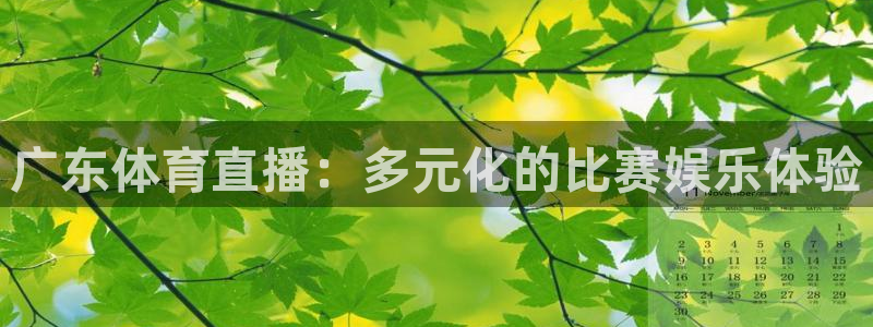 体育足球直播吧：广东体育直播：多元化的比赛娱乐体验