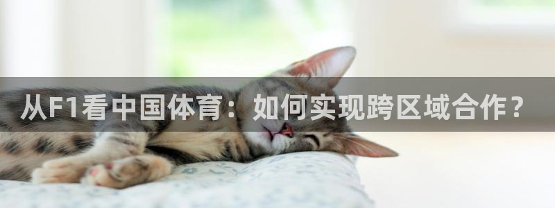 直播吧手机版nba直播吧：从F1看中国体育：如何实现跨区域合作？