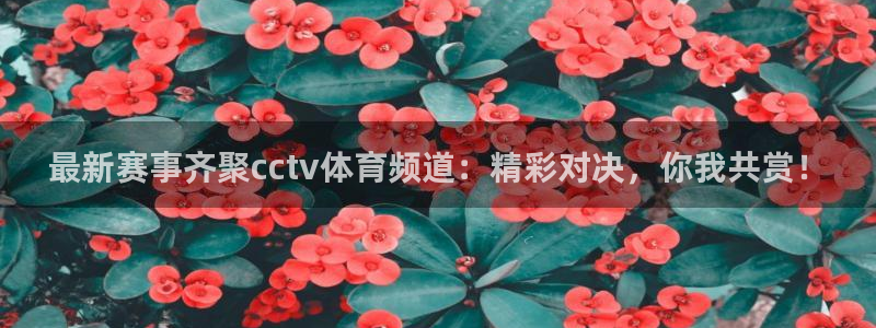 飞速直播吧jrs低调看直播nba：最新赛事齐聚cctv体育频道：精彩对决，你我共赏！